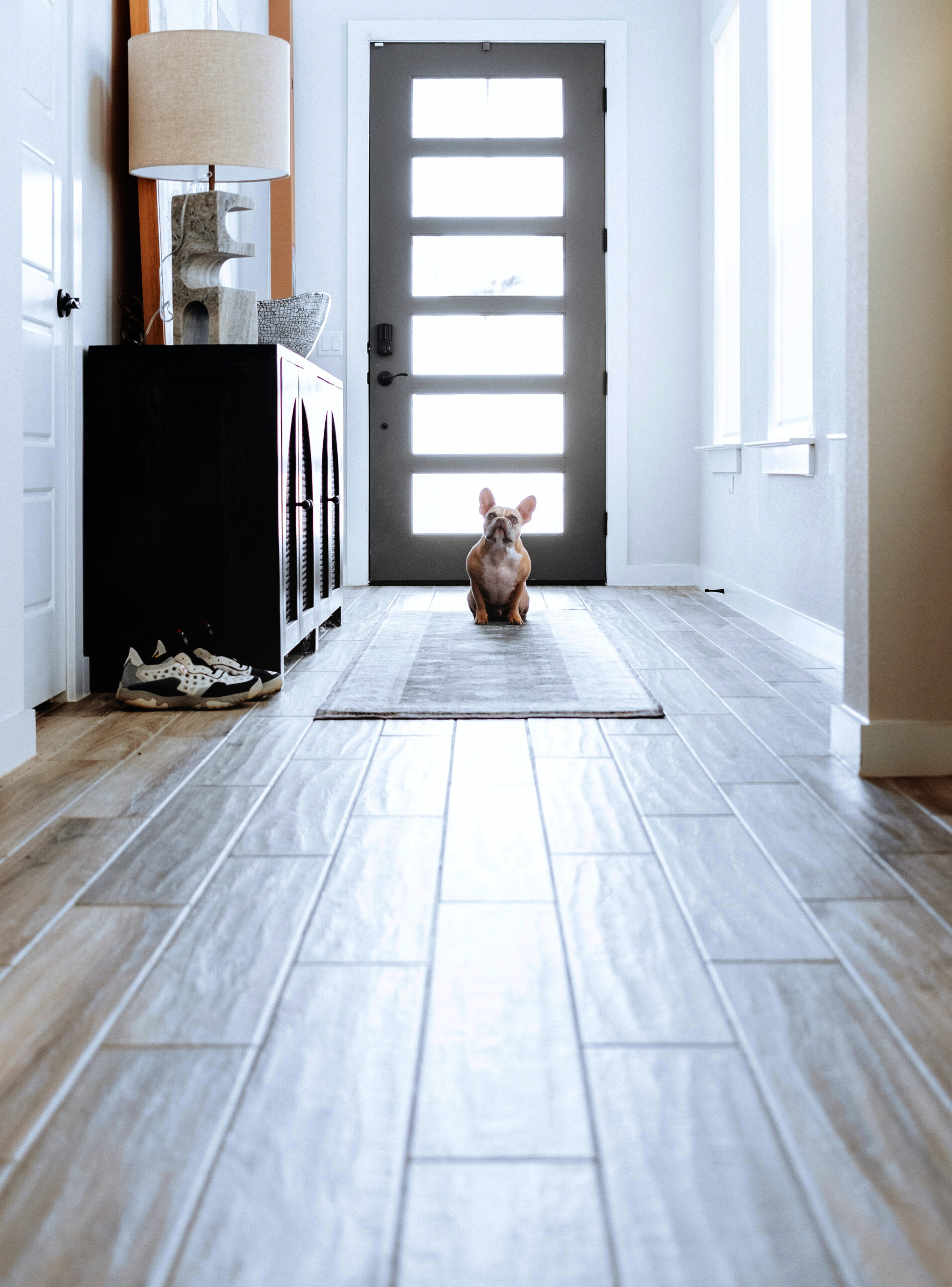 hallway in a home with a small dog sitting on the carpet runner